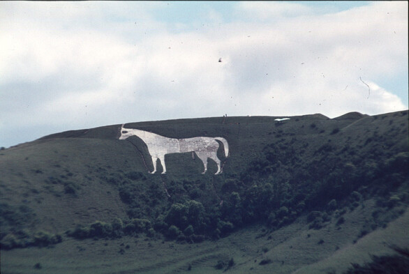 A solid white horse carved into a hillside; the hillside is otherwise covered in vegetation.
