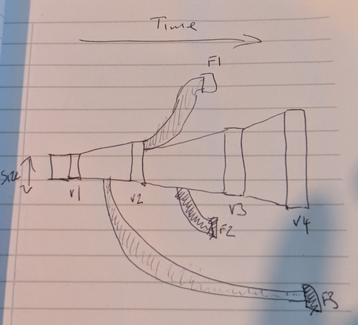 A hand drawn sketch showing the fork diagram the author would like to generate. A slowly growing core cone representing the trunk with branches coming of showing the relative size of the fork.