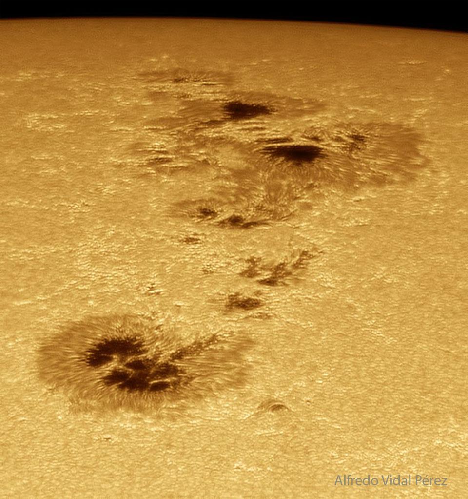 Portrait of group of sunspots.